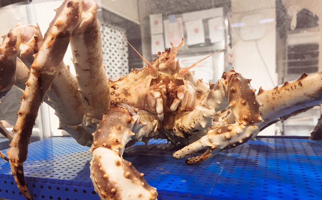 食彩酒房　仁志乃屋の画像4