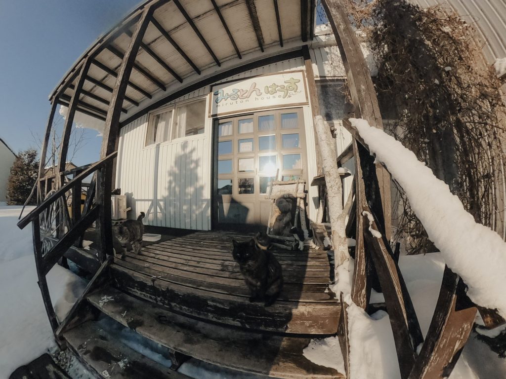 喜多牧場直販ショップ みるとんはうすの画像1