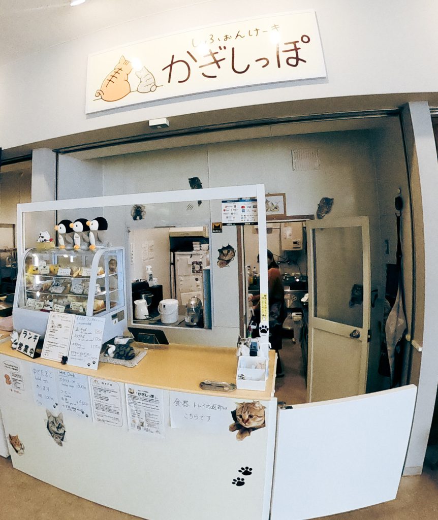流氷が見れるシフォンケーキ店！